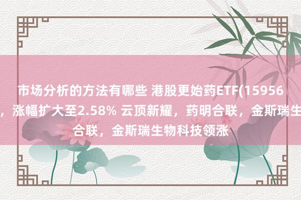 市场分析的方法有哪些 港股更始药ETF(159567)低开高走，涨幅扩大至2.58% 云顶新耀，药明合联，金斯瑞生物科技领涨