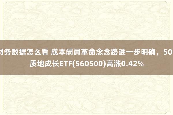 财务数据怎么看 成本阛阓革命念念路进一步明确，500质地成长ETF(560500)高涨0.42%