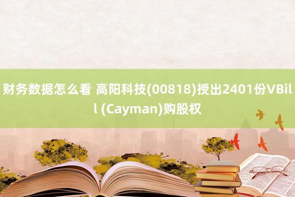 财务数据怎么看 高阳科技(00818)授出2401份VBill (Cayman)购股权