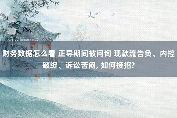 财务数据怎么看 正导期间被问询 现款流告负、内控破绽、诉讼苦闷, 如何接招?