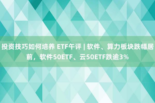 投资技巧如何培养 ETF午评 | 软件、算力板块跌幅居前，软件50ETF、云50ETF跌逾3%