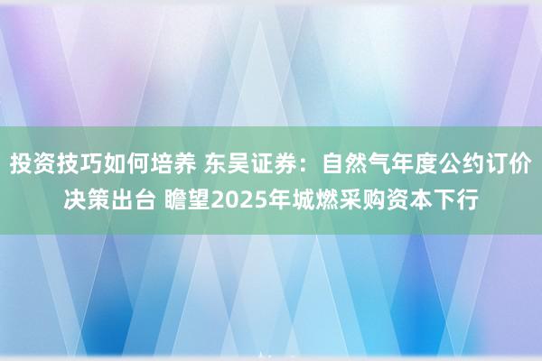 投资技巧如何培养 东吴证券：自然气年度公约订价决策出台 瞻望2025年城燃采购资本下行