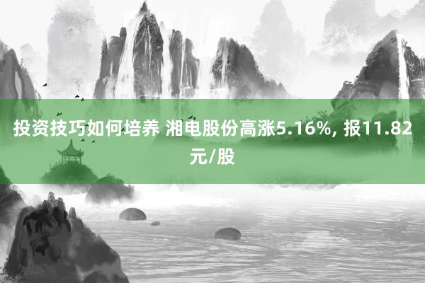 投资技巧如何培养 湘电股份高涨5.16%, 报11.82元/股