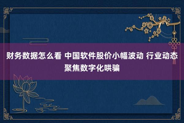 财务数据怎么看 中国软件股价小幅波动 行业动态聚焦数字化哄骗