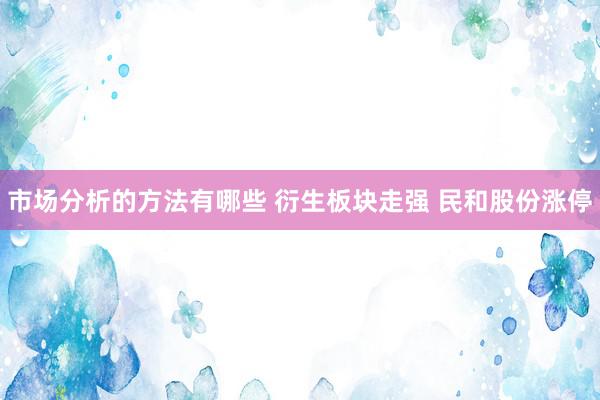 市场分析的方法有哪些 衍生板块走强 民和股份涨停