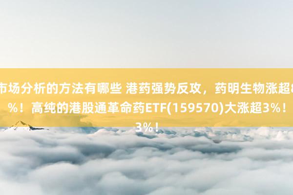 市场分析的方法有哪些 港药强势反攻，药明生物涨超8%！高纯的港股通革命药ETF(159570)大涨超3%！