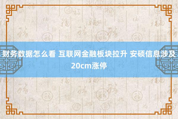 财务数据怎么看 互联网金融板块拉升 安硕信息涉及20cm涨停