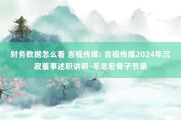 财务数据怎么看 吉视传媒: 吉视传媒2024年沉寂董事述职讲明-毛志宏骨子节录