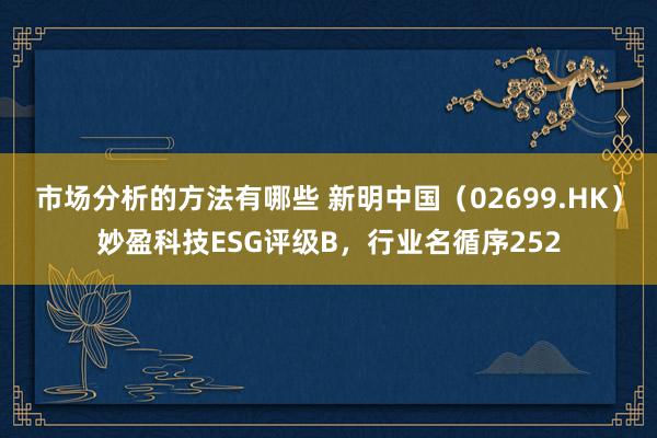 市场分析的方法有哪些 新明中国（02699.HK）妙盈科技ESG评级B，行业名循序252