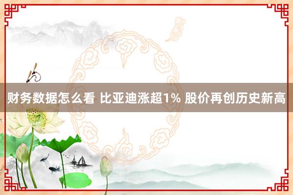 财务数据怎么看 比亚迪涨超1% 股价再创历史新高